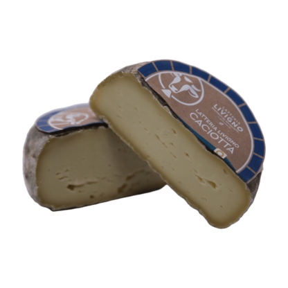Formaggio Caciotta - immagine 2