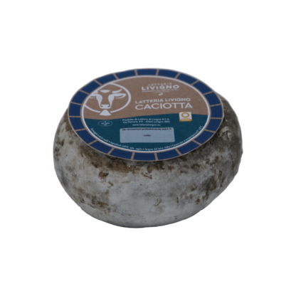 Formaggio Caciotta